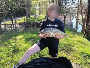 Common Carp