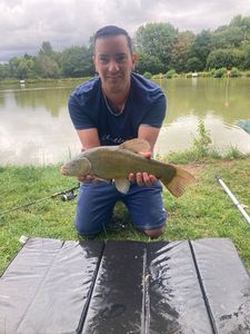 Tench