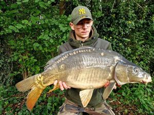 Mirror Carp