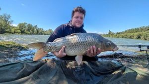 Common Carp