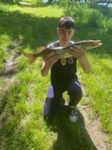 Northern Pike