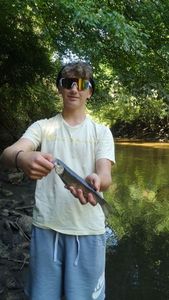 Chub