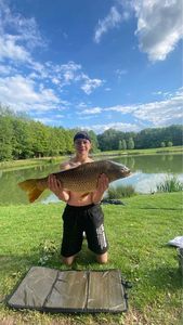 Common Carp
