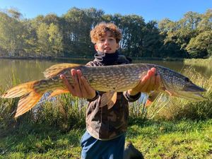 Northern Pike