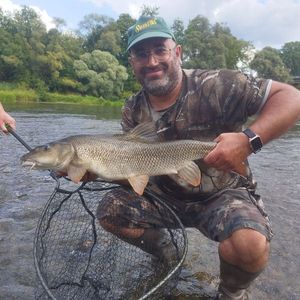 Barbel