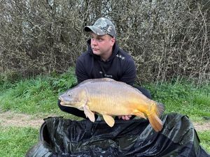 Mirror Carp