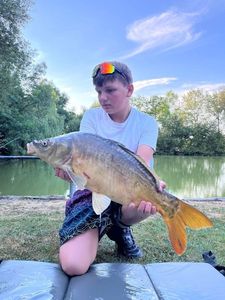 Mirror Carp