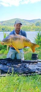 Mirror Carp