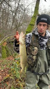 Northern Pike