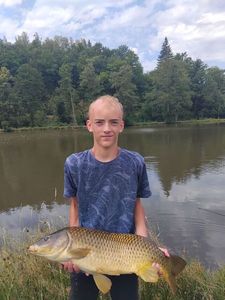 Common Carp