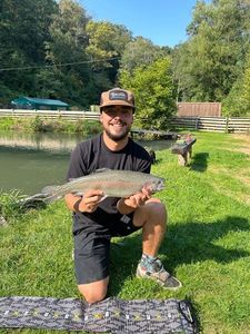 Rainbow Trout