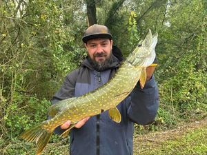 Northern Pike