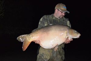 Mirror Carp