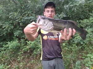 Largemouth Bass