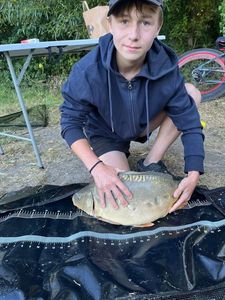 Mirror Carp