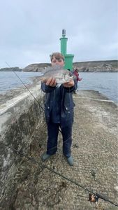 Black Seabream