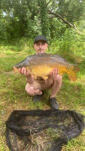 Mirror Carp