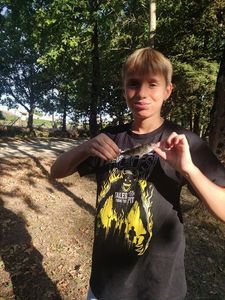 European Perch