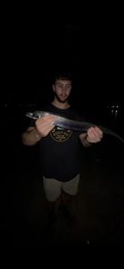 Largehead Hairtail