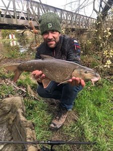 Barbel
