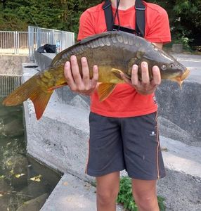 Leather Carp