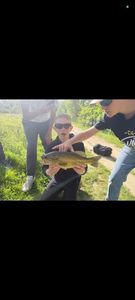 Largemouth Bass