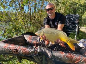 Mirror Carp