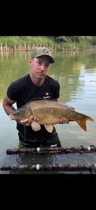 Common Carp