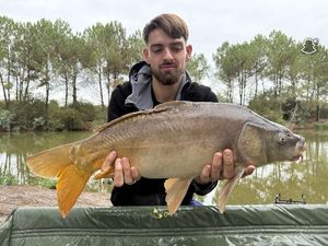 Mirror Carp