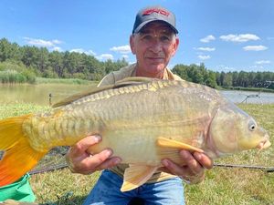 Mirror Carp