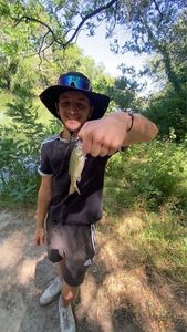 Smallmouth Bass