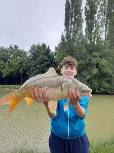 Mirror Carp