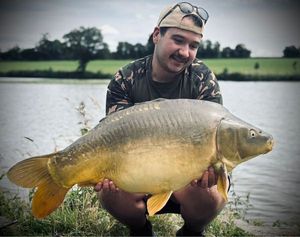 Mirror Carp