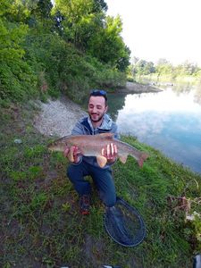 Barbel