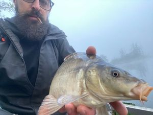 Mirror Carp