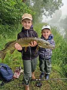 Northern Pike