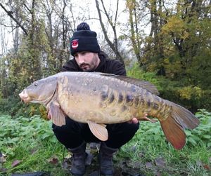 Mirror Carp