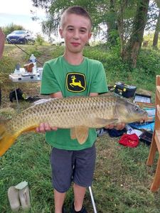 Common Carp