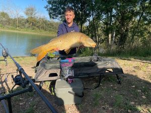 Common Carp