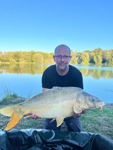 Mirror Carp