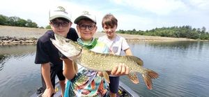 Northern Pike