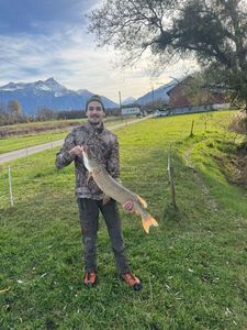 Northern Pike