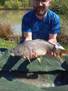 Common Carp