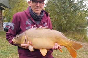 Mirror Carp