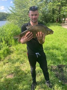 Common Bream