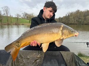 Mirror Carp