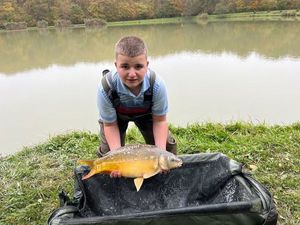 Common Carp