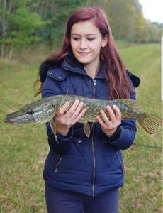 Northern Pike