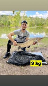 Grass Carp