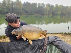 Mirror Carp